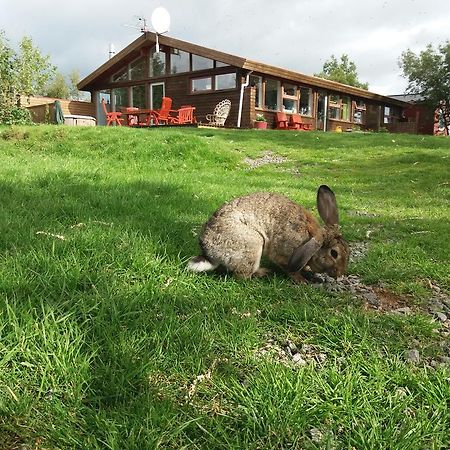 Geysir Hestar Hostel Haukadalur Buitenkant foto