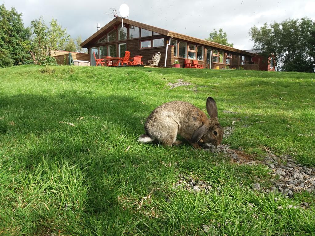 Geysir Hestar Hostel Haukadalur Buitenkant foto